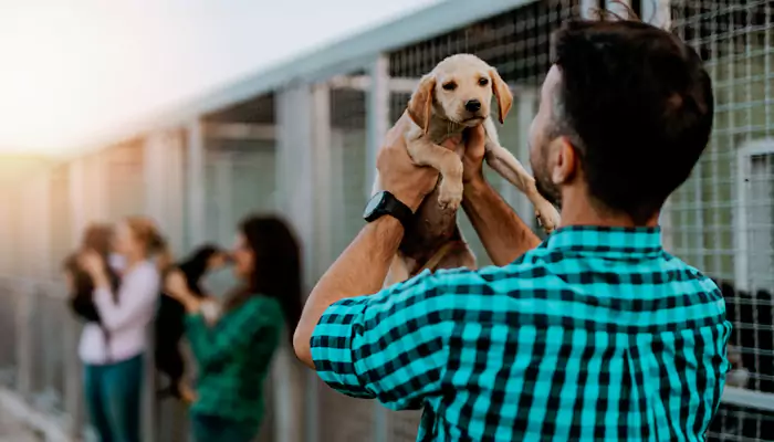 National Puppy Day: How To Celebrate And Support Animal Shelters And Rescue Organizations
