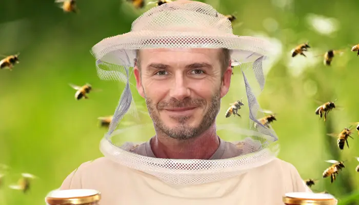 On This Day (May 2): Happy B’day, Becks! A Look at Beckham's Beekeeping Bonanza