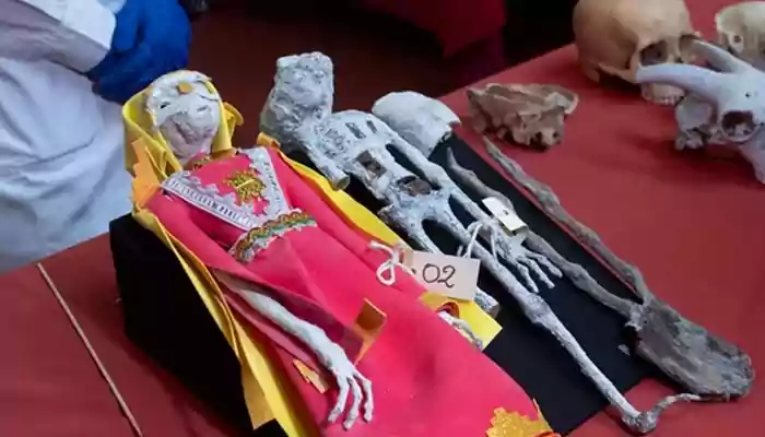 Peru ‘alien mummies’ were hoax? Scientists reveal truth behind baffling mystery