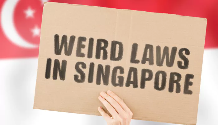 Understanding Singapore Penalties: Common Offenses That Can Result in Fines