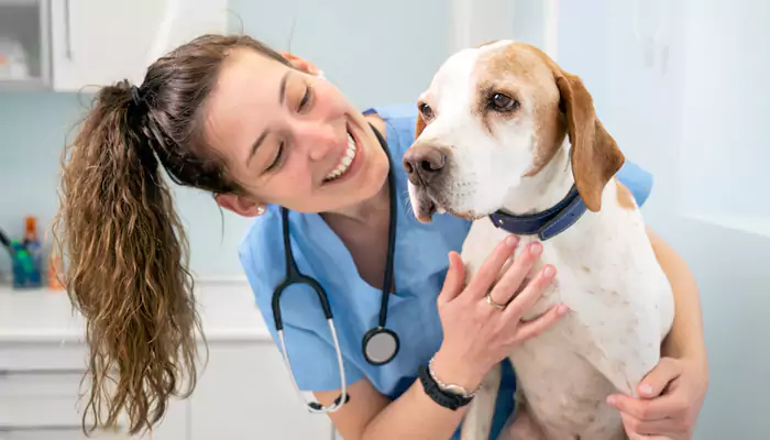 World Veterinary Day: Exploring Career Paths in Veterinary Science – Opportunities and Challenges
