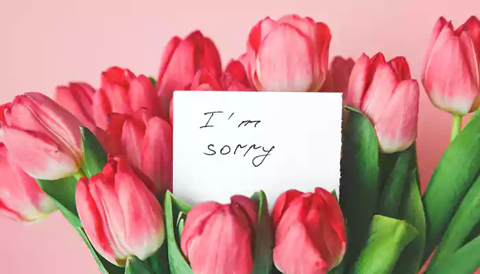 Five Graceful Ways To Apologize Sincerely After Offending Someone: Tips To Make Amends