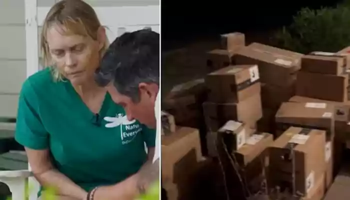 Woman in the US Receives Hundreds of Amazon Packages She Did Not Order; Ends up Distributing to All