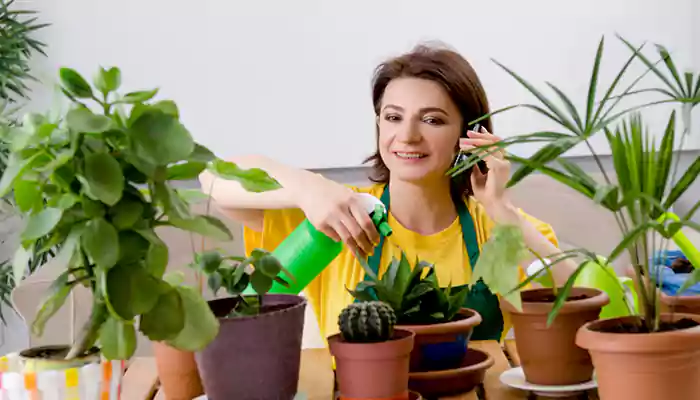 Keep Away Noise Pollution With Sound-Absorbing Houseplants: Five Indoor Plants That Can Minimize Noise Levels