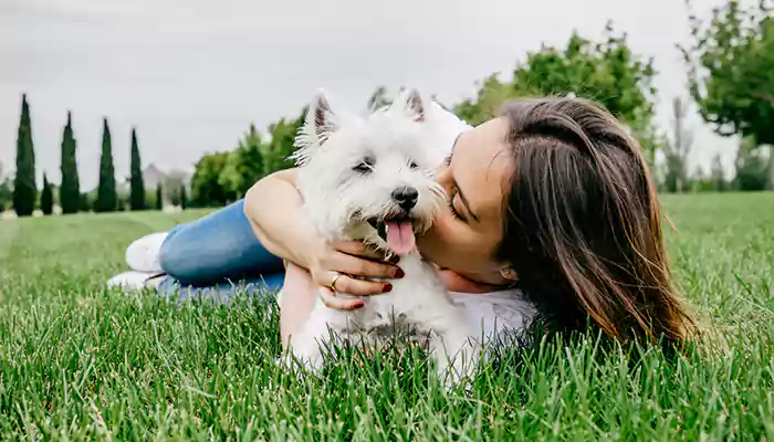 Help Your Pet To Combat Seasonal Allergies: 3 Tips To Take Extra Care