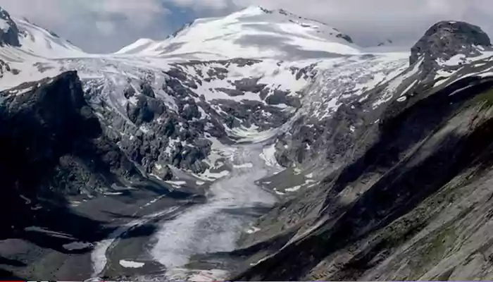 Melting Glaciers Across The World Is A Huge Threat To Wildlife; Know Why
