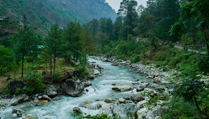A Hidden Paradise: Embracing Offbeat Bliss in Himachal's Tirthan Valley