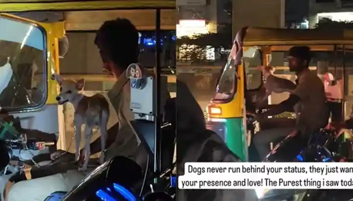 Bengaluru auto driver rides with puppy in his lap, netizens love the video. Watch